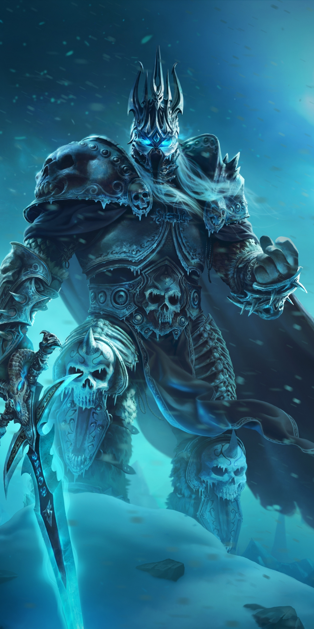 Dark King, World of Warcraft: Wrath of the Lich King, online game, 1080x2160 wallpaper