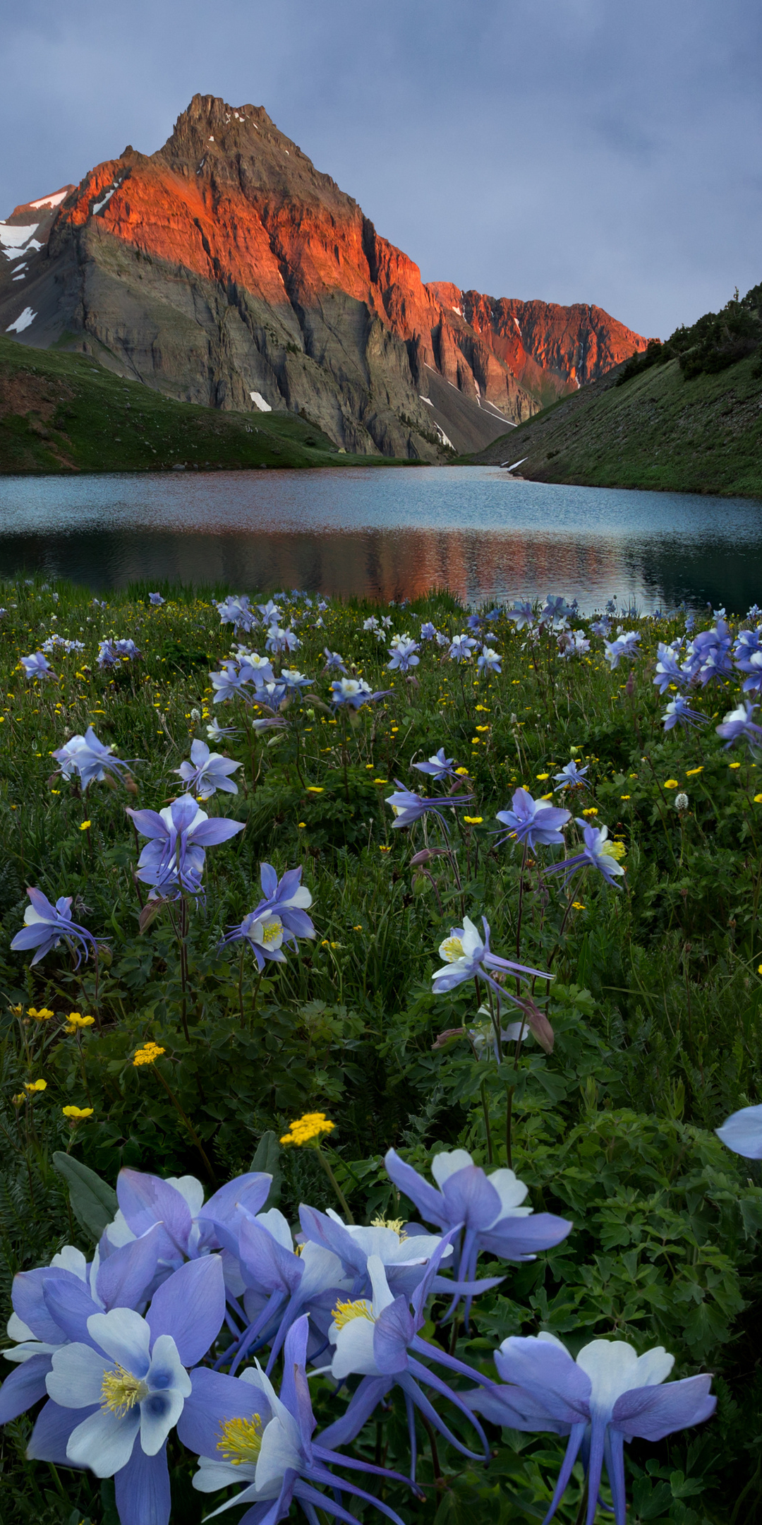 Mountains, sunset and lake, nature, meadow flowers, 1080x2160 wallpaper