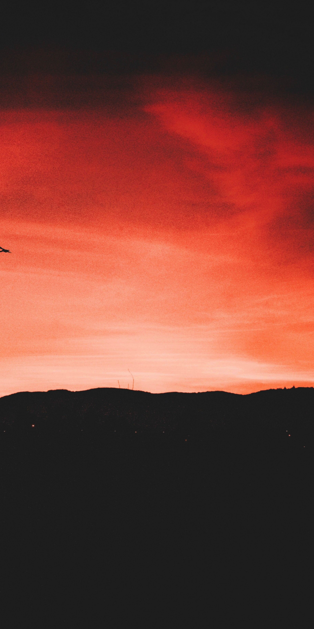 Birds, flight, sunset, sky, horizon, 1080x2160 wallpaper