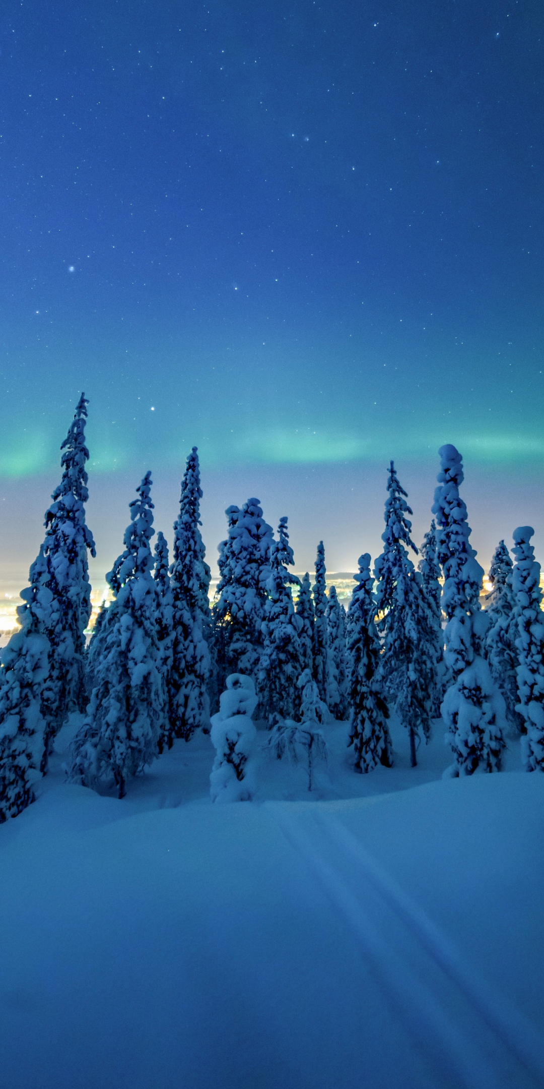 Winter, dawn, colorful sky, trees, 1080x2160 wallpaper