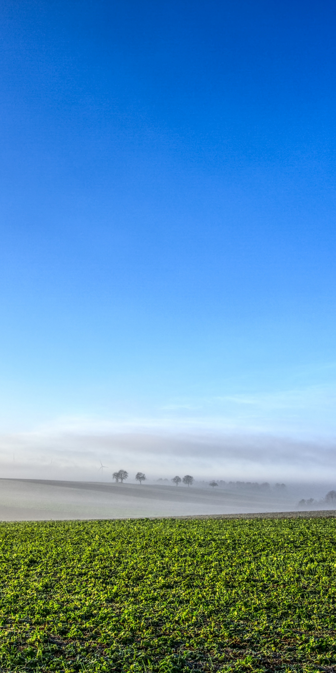 Mist, wind turbines, landscape, mist, 1080x2160 wallpaper