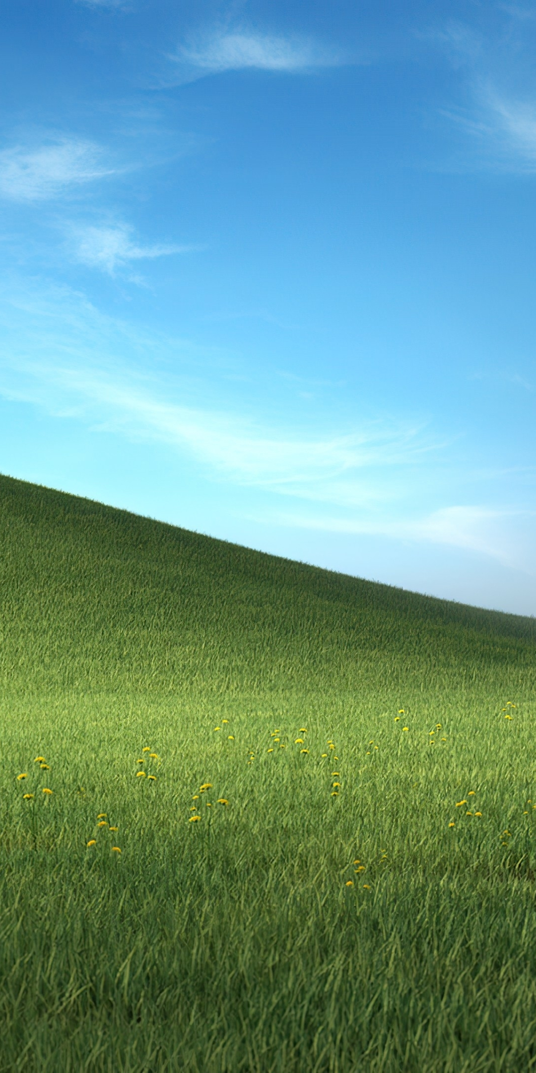 Meadow bliss, green grass, landscape, Microsoft Windows XP stock, 1080x2160 wallpaper