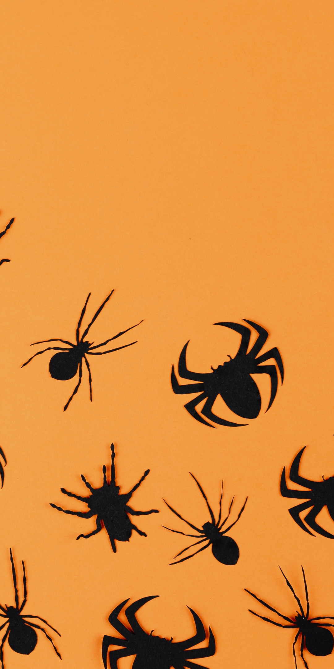 Halloween, black spiders wall stickers, minimal, 1080x2160 wallpaper