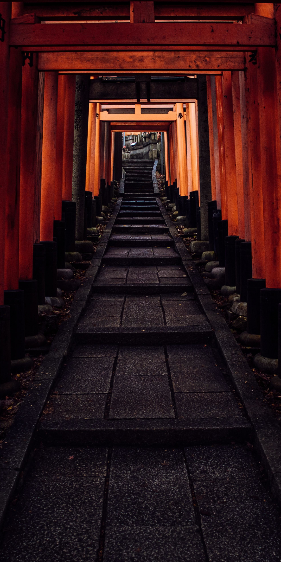 Stairs, tunnel, pathway, 1080x2160 wallpaper