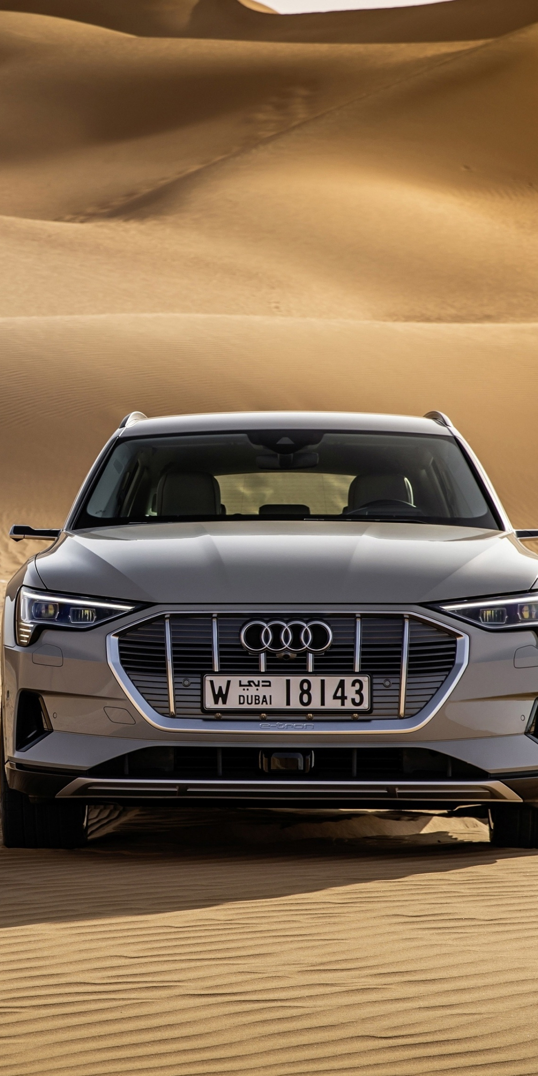 Desert, off-road, Audi e-Tron Quattro, electric SUV, 1080x2160 wallpaper