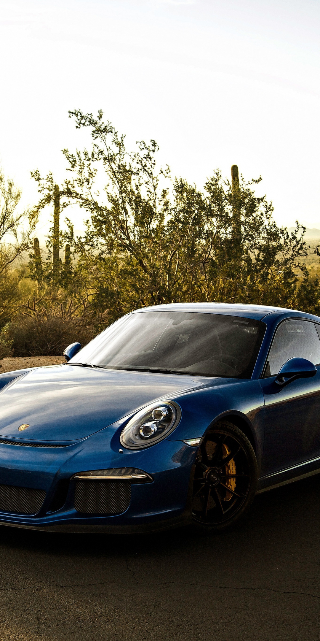 Blue car, sports, Porsche 911 GT3 RS, 1080x2160 wallpaper