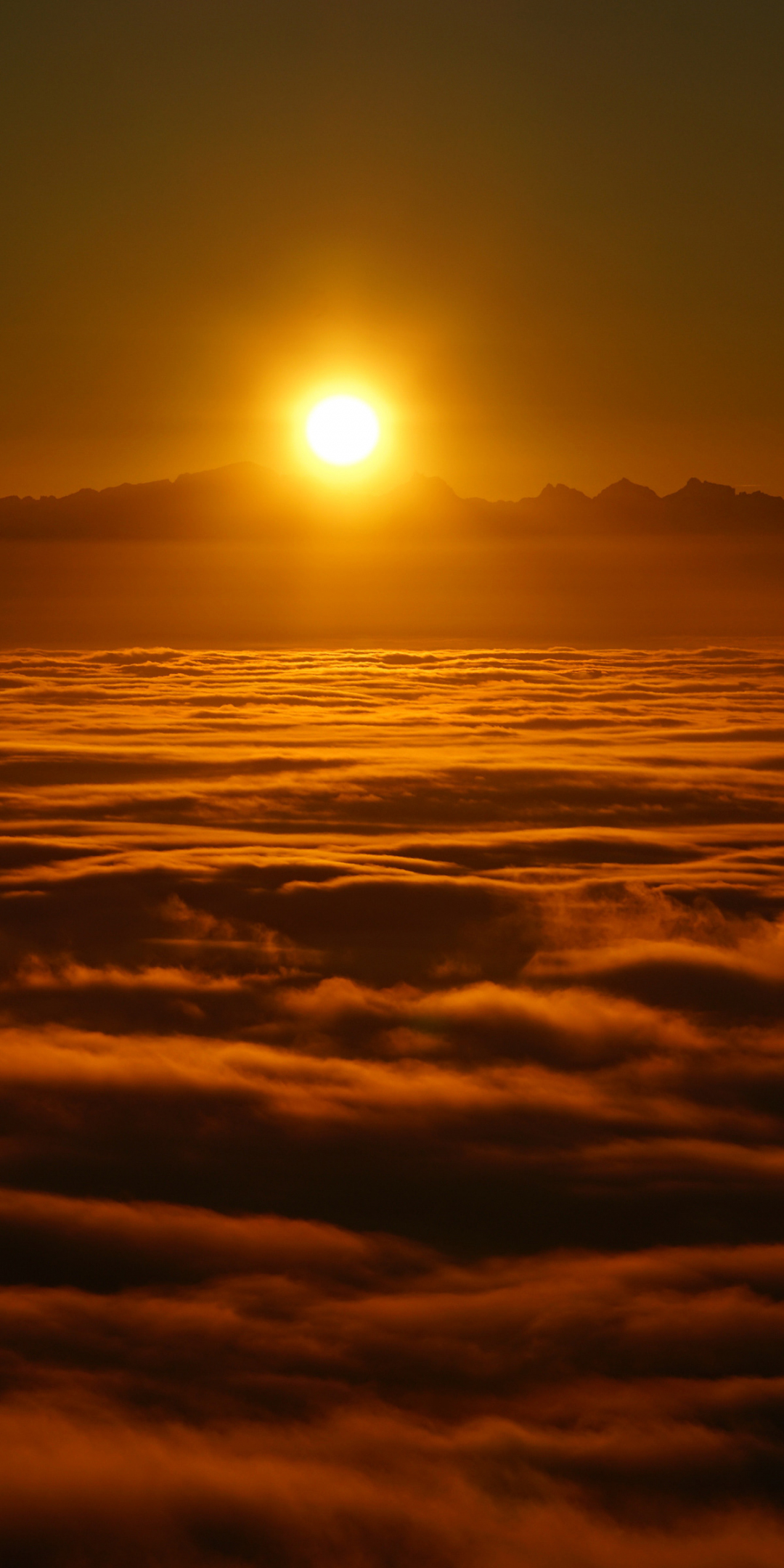 Sunrise, above the clouds, skyline, 1080x2160 wallpaper