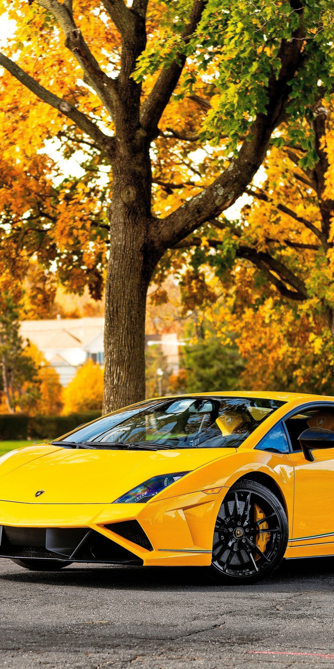 Lamborghini Gallardo, yellow sports car, 1080x2160 wallpaper