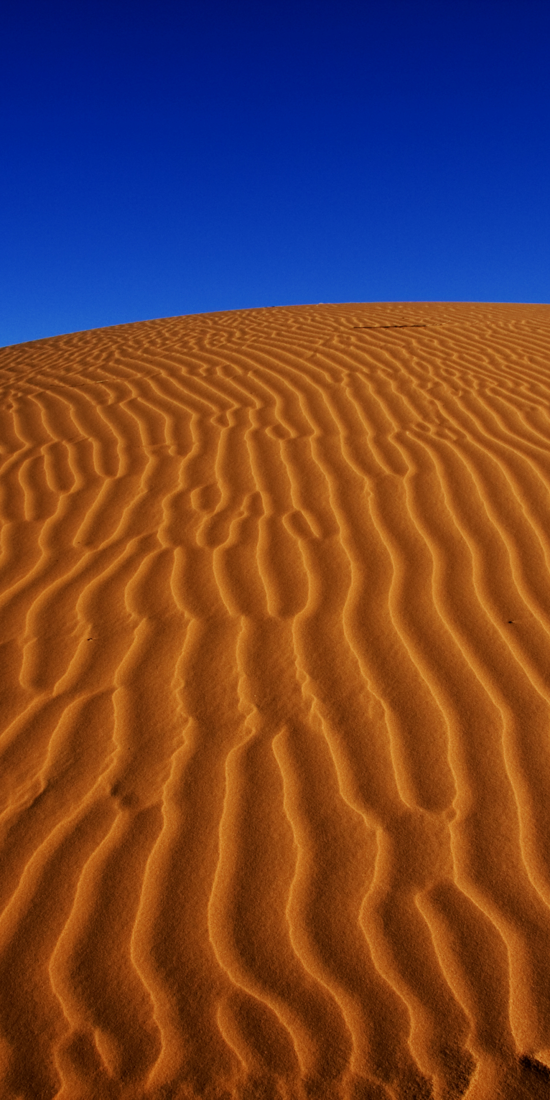 Desert, nature, sand, dunes, blue sky, 1080x2160 wallpaper