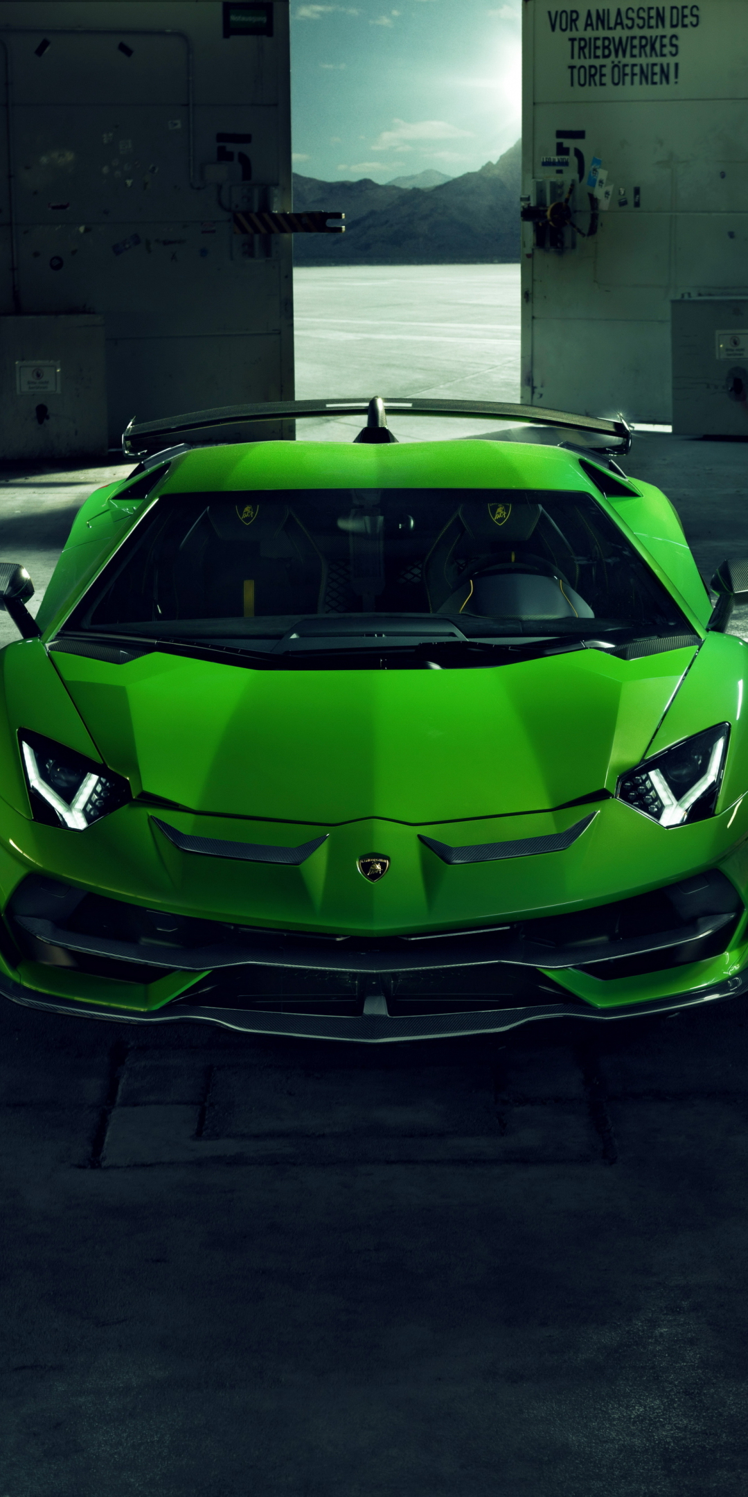 Sports car, Lamborghini Aventador SVJ, 1080x2160 wallpaper