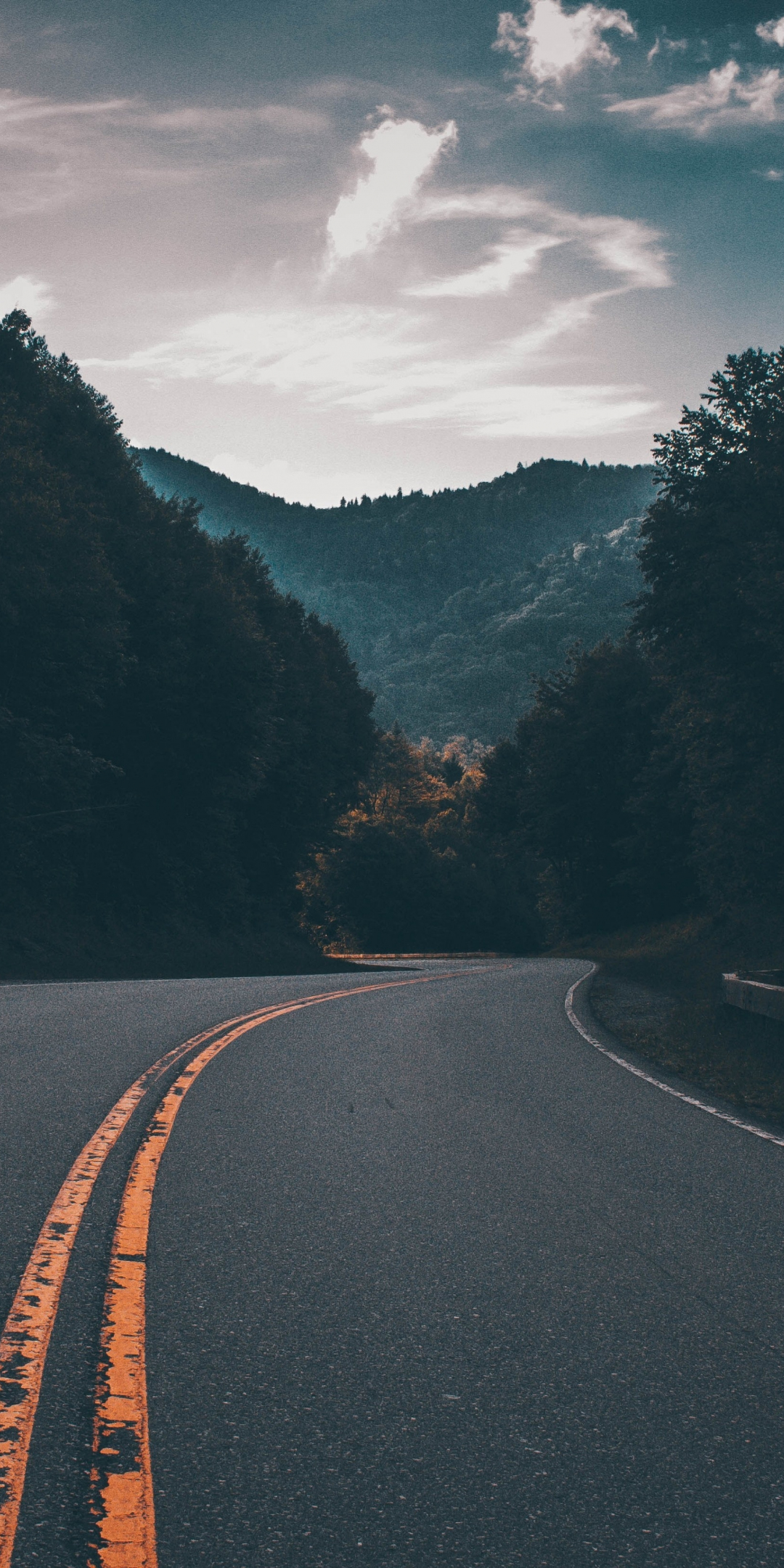 Highway, road, nature, tree, mountains, 1080x2160 wallpaper