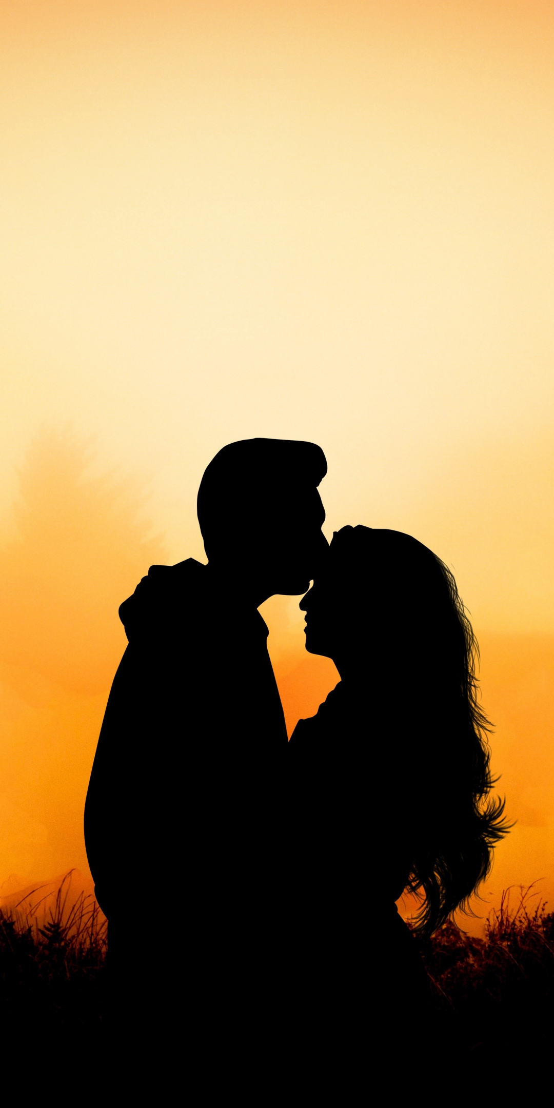Couple, hug, kiss, love, outdoor, sunset, 1080x2160 wallpaper