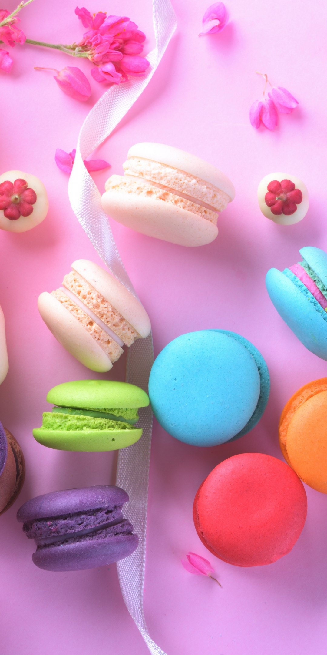 Macarons, sweets, food, colorful, 1080x2160 wallpaper
