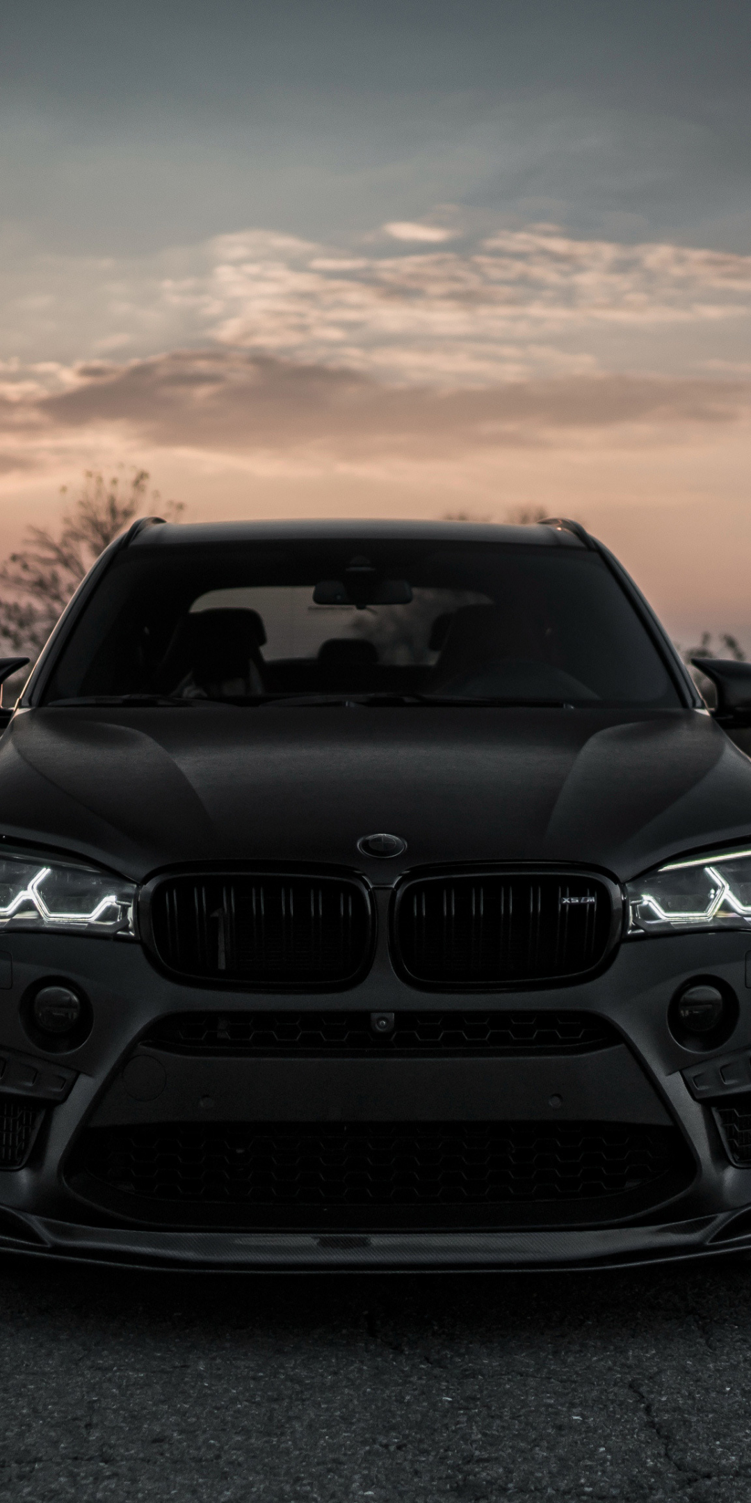 2018, BMW X5 M Z-performance, front, 1080x2160 wallpaper