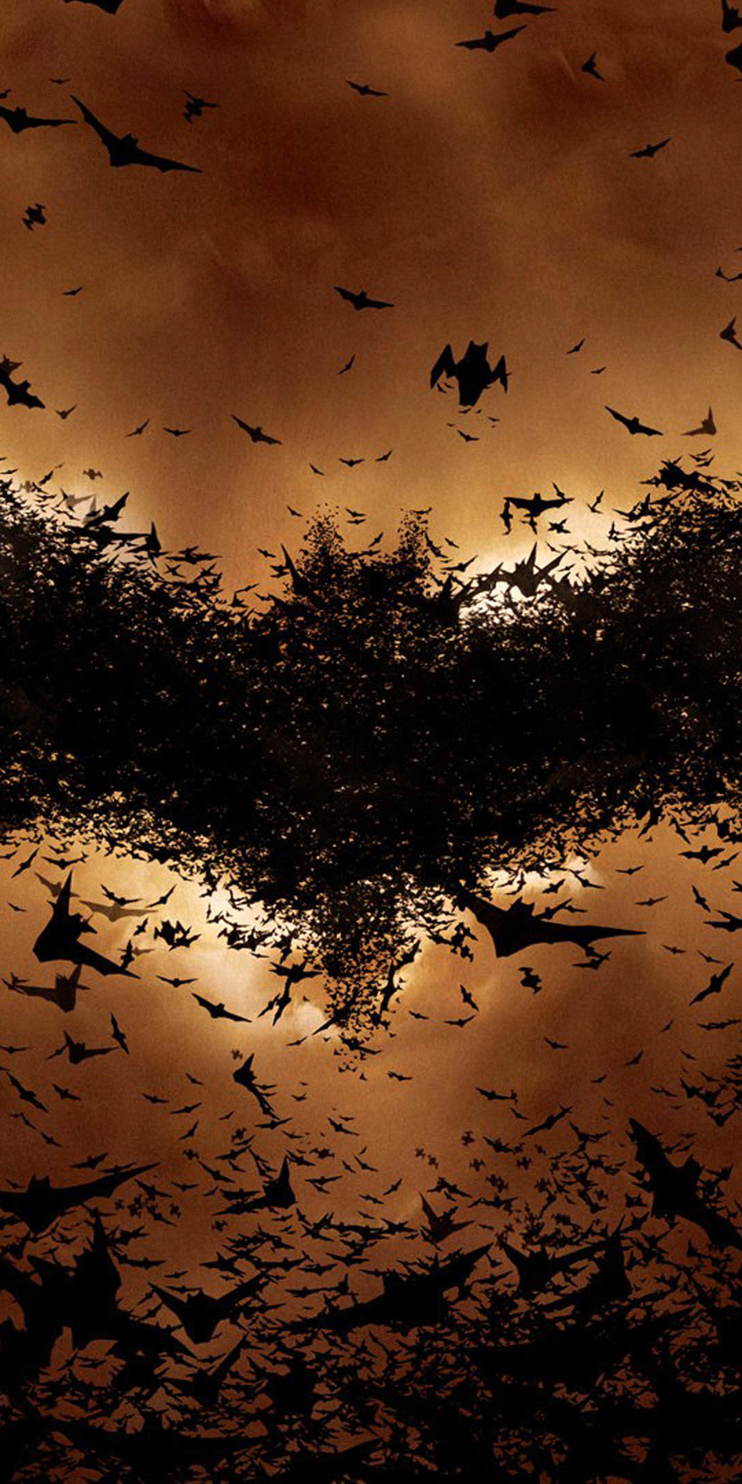 Batman Begins, bats, symbol, movie, logo, 1080x2160 wallpaper