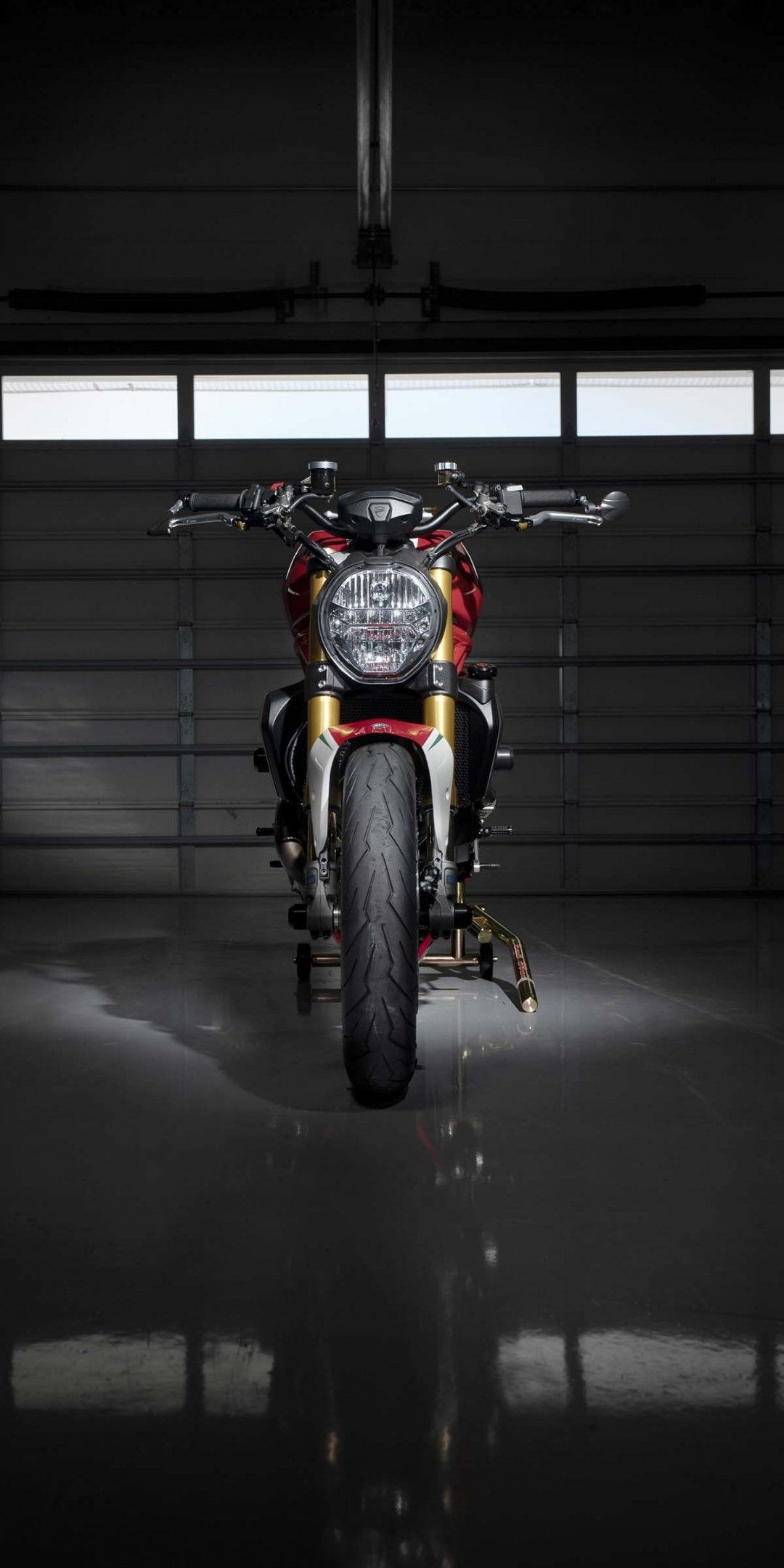 Ducati Monster 1200 Tricolore, 2019, basement, 1080x2160 wallpaper