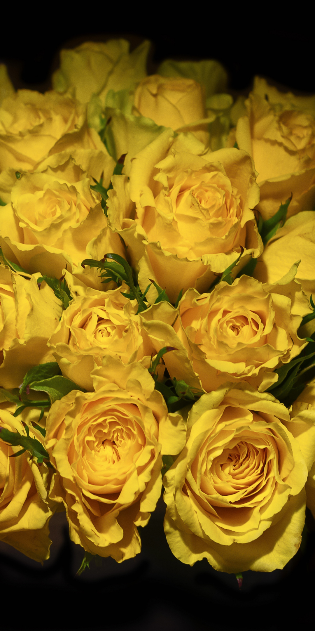 Yellow roses, portrait, bouquet, 1080x2160 wallpaper