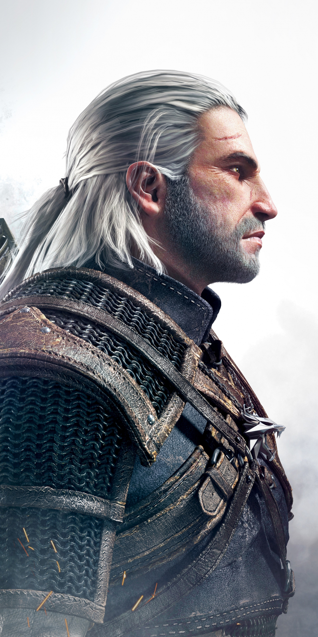 Geralt of Rivia, The Witcher 3: Wild Hunt, video game, warrior, 1080x2160 wallpaper