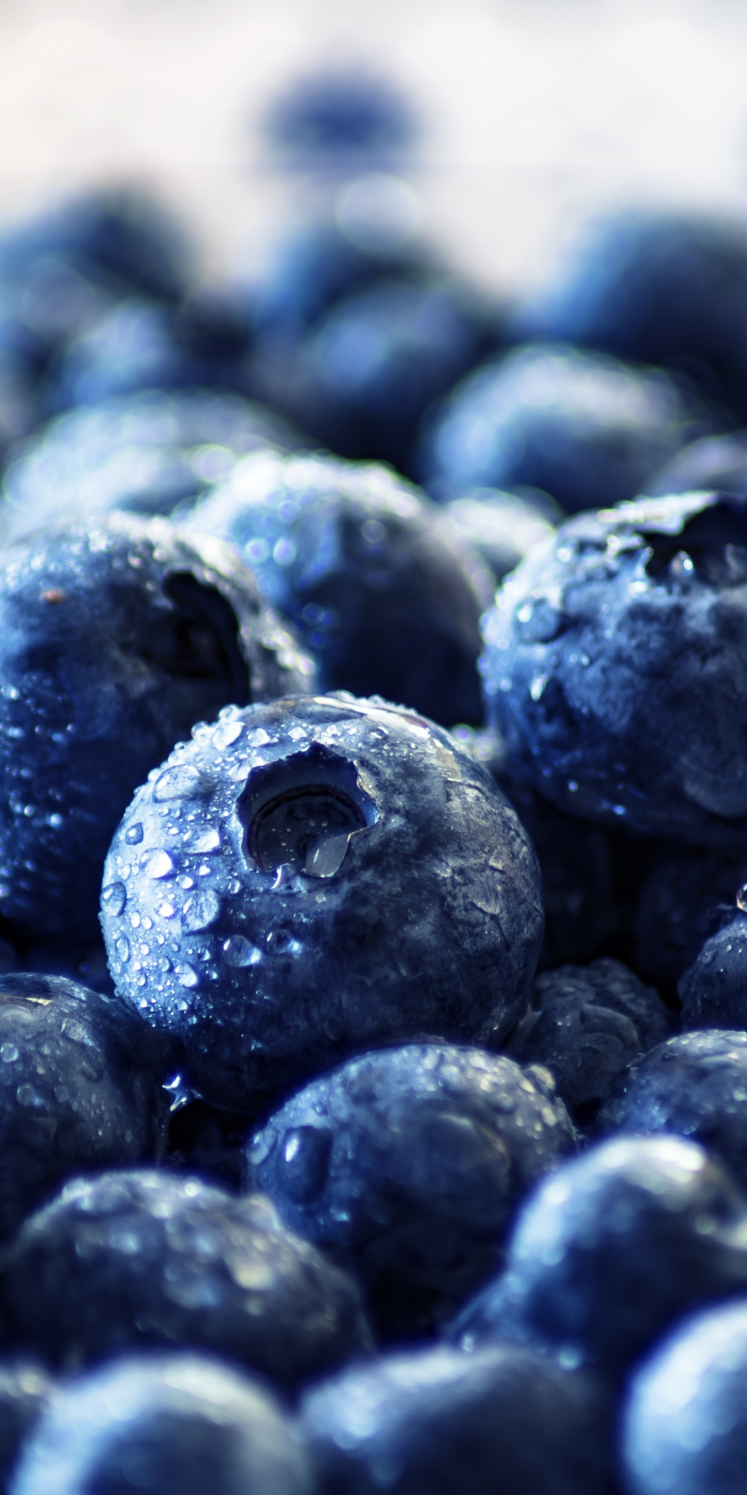 Fresh, fruits, blueberry, drops, 1080x2160 wallpaper