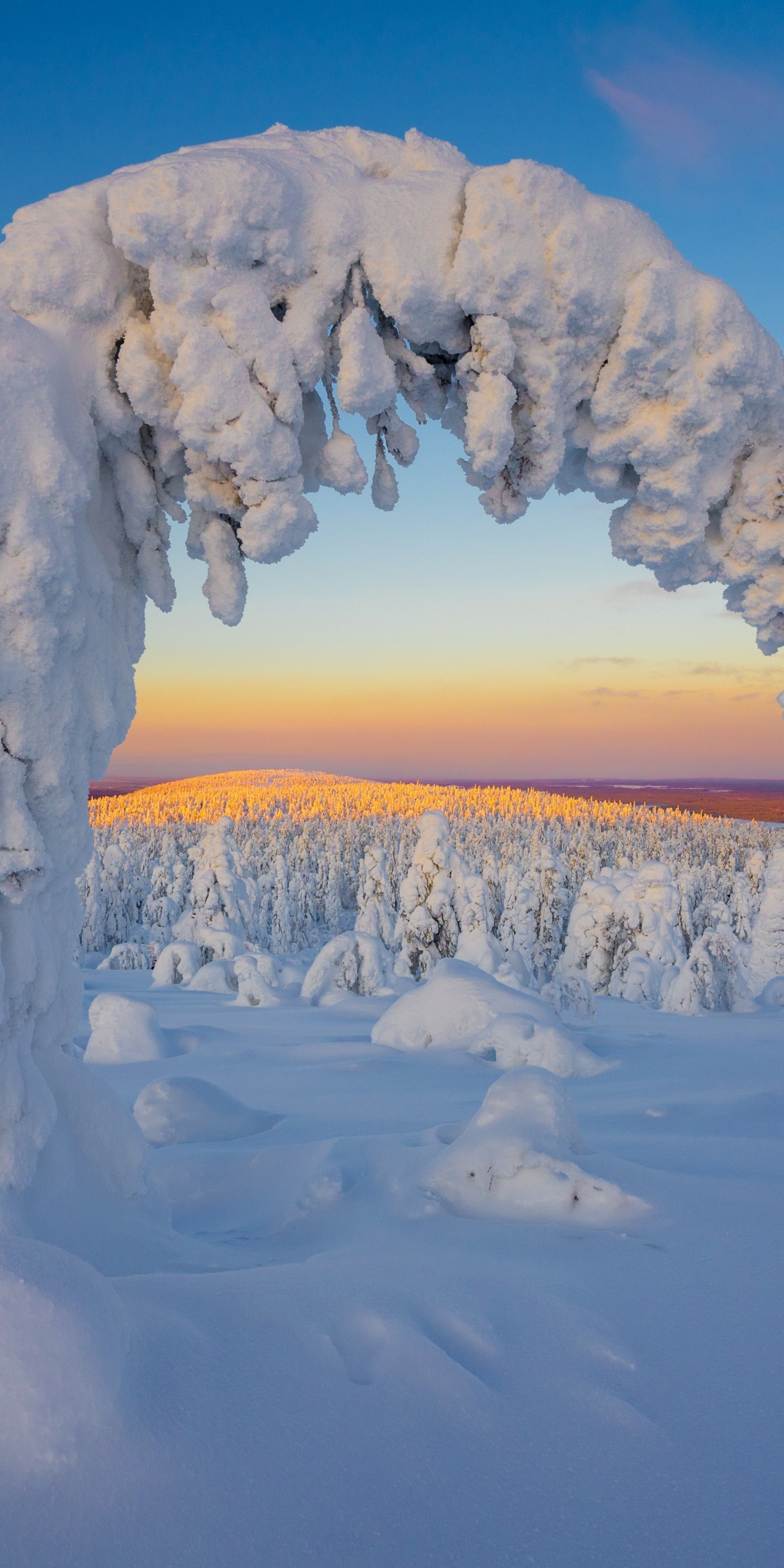 Sunset, winter, landscape, nature, trees, 1080x2160 wallpaper