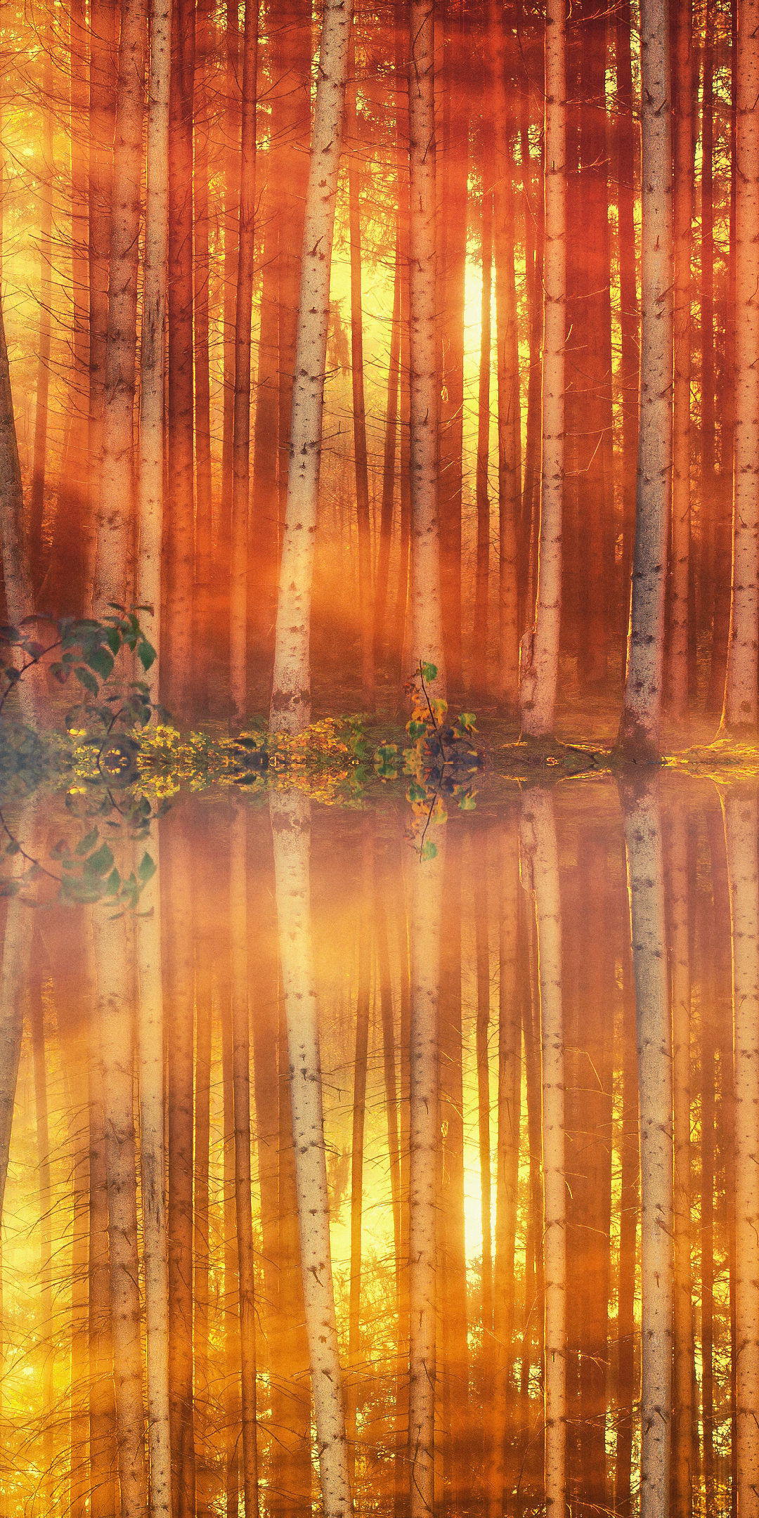 Sunlight, sunbeams, tree, autumn, lake, reflections, 1080x2160 wallpaper