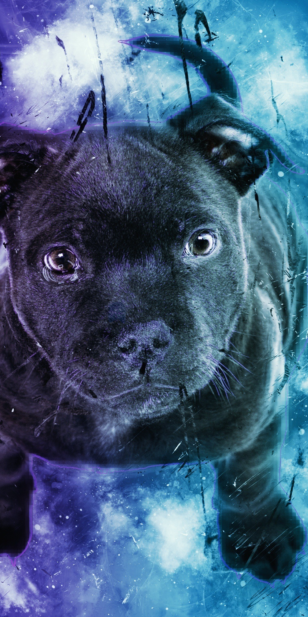Black puppy, dog, cute, digital art, 1080x2160 wallpaper