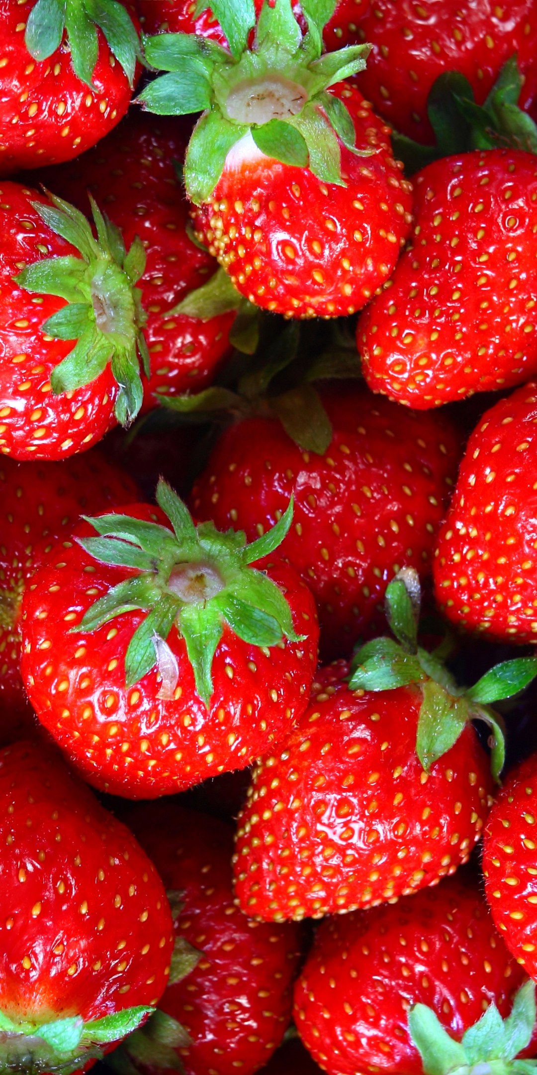 Fresh, fruit, strawberry, 1080x2160 wallpaper