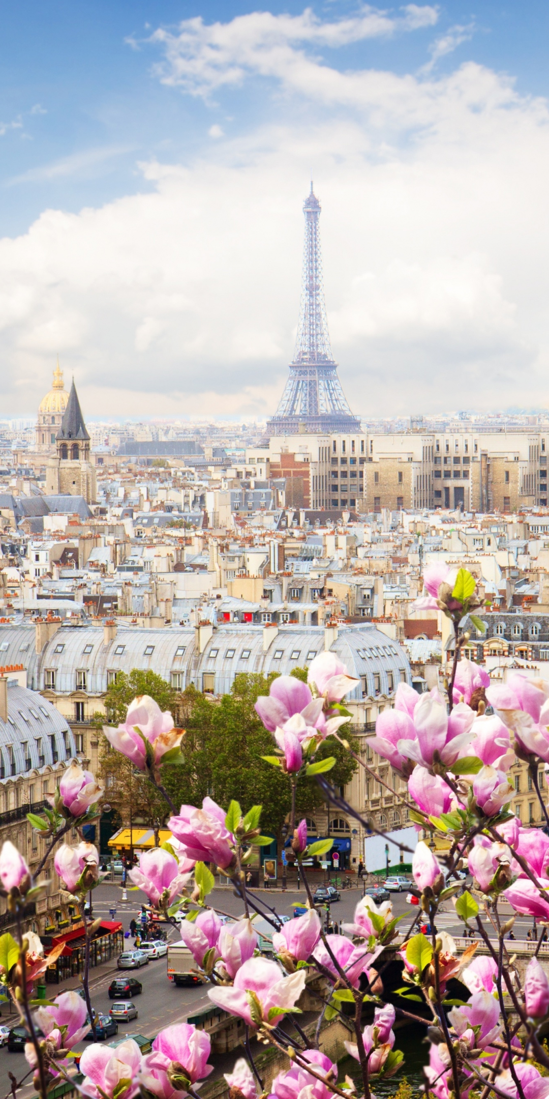 Eiffel tower, Paris, France, flowers, beautiful blossom, 1080x2160 wallpaper