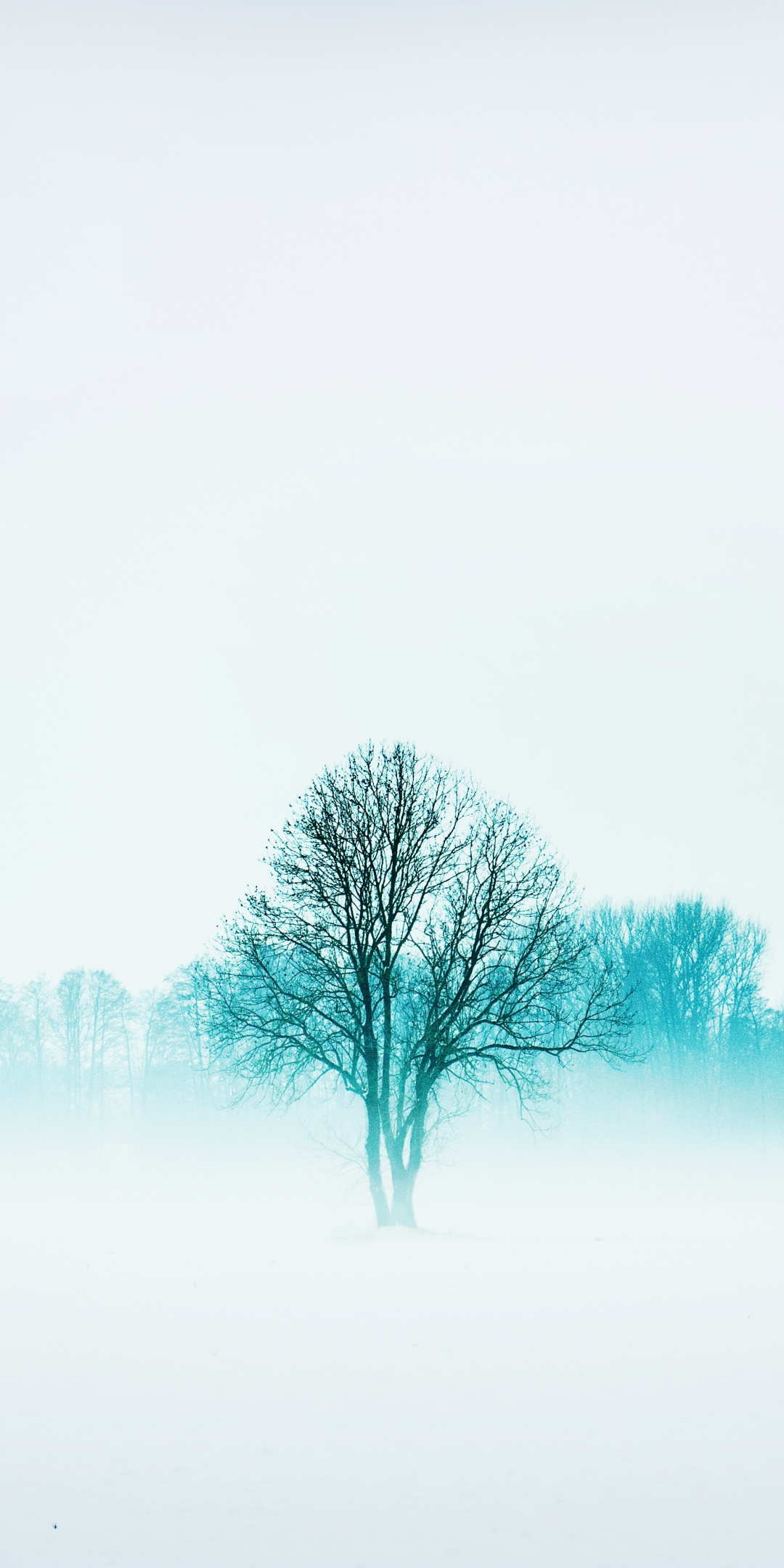 Winter, nature, trees, fog, minimal, 1080x2160 wallpaper