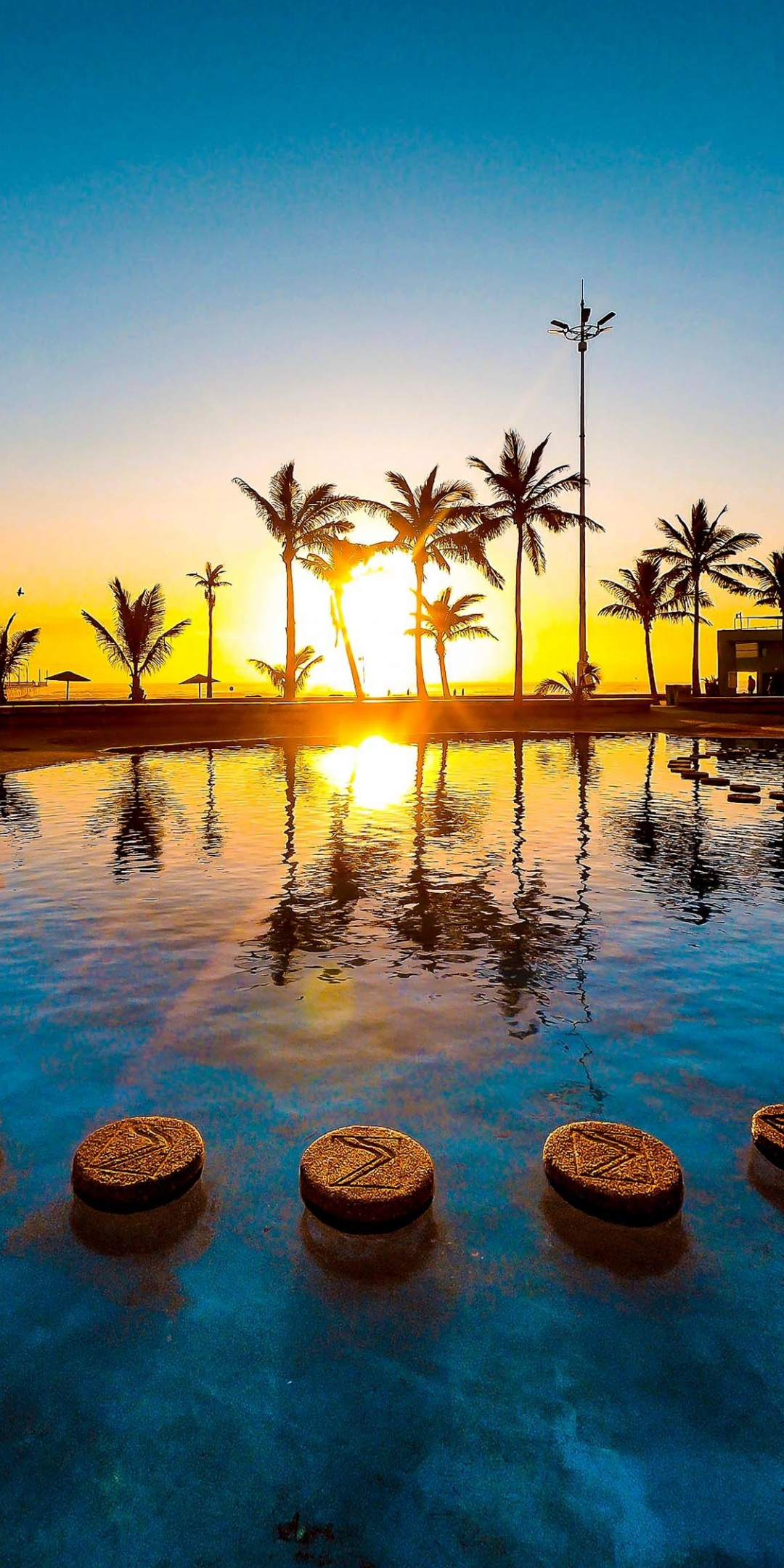Sunset, palm tree, pool, water, 1080x2160 wallpaper