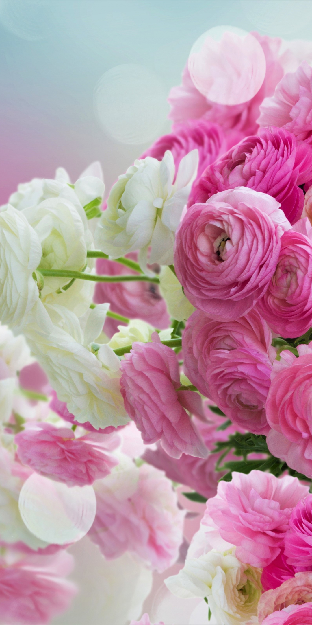 White and pink flowers, Bouquet, 1080x2160 wallpaper