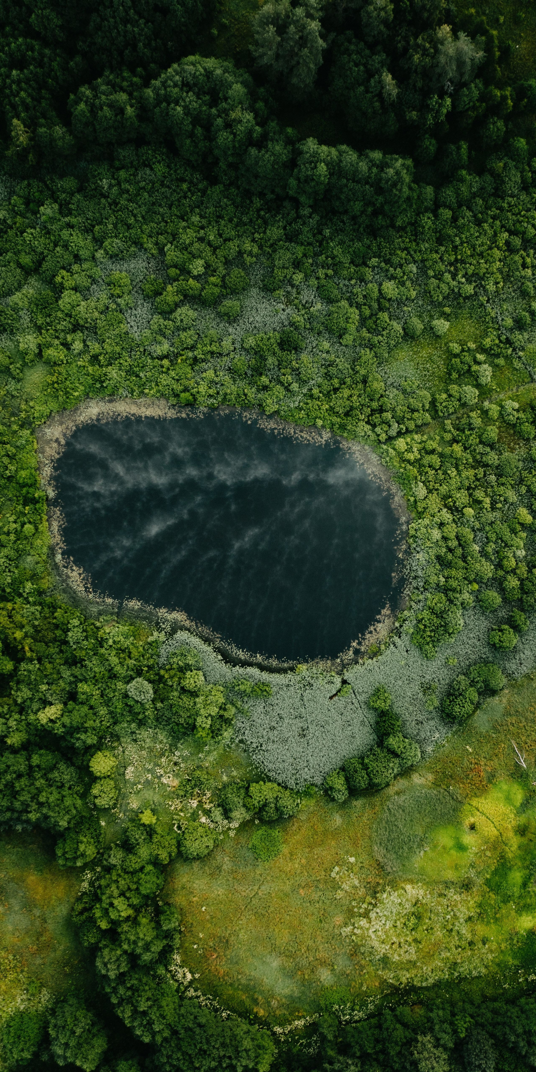 Oval lake, forest, nature, aerial view, 1080x2160 wallpaper