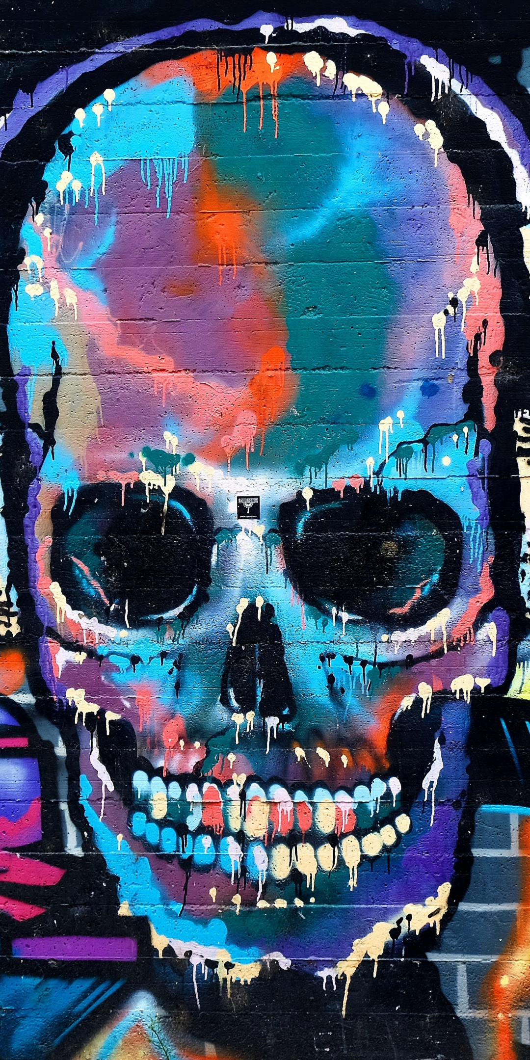 Graffiti, skull, colorful, street art, 1080x2160 wallpaper