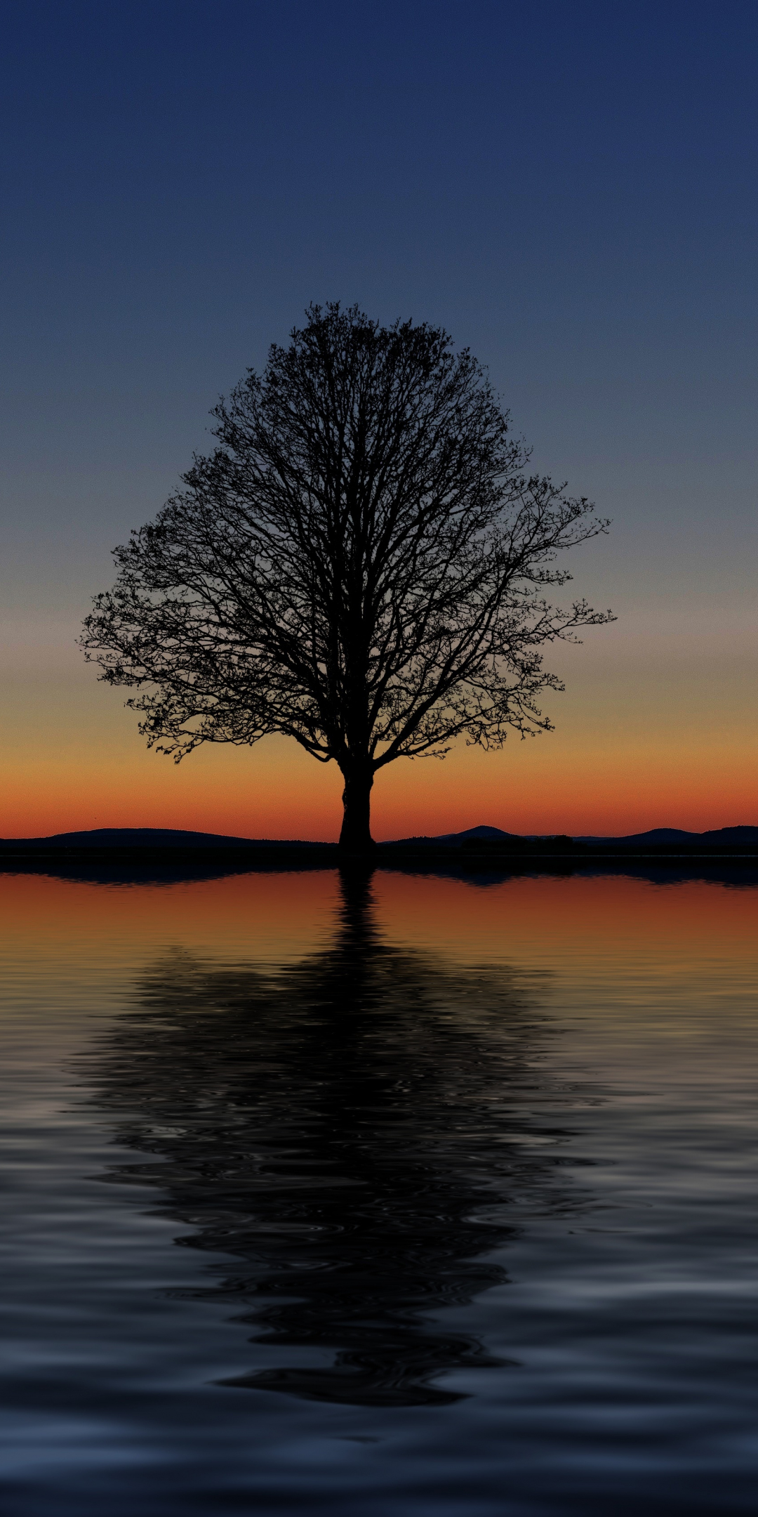 Sunset, silhouette, tree, lake, digital art, 1080x2160 wallpaper