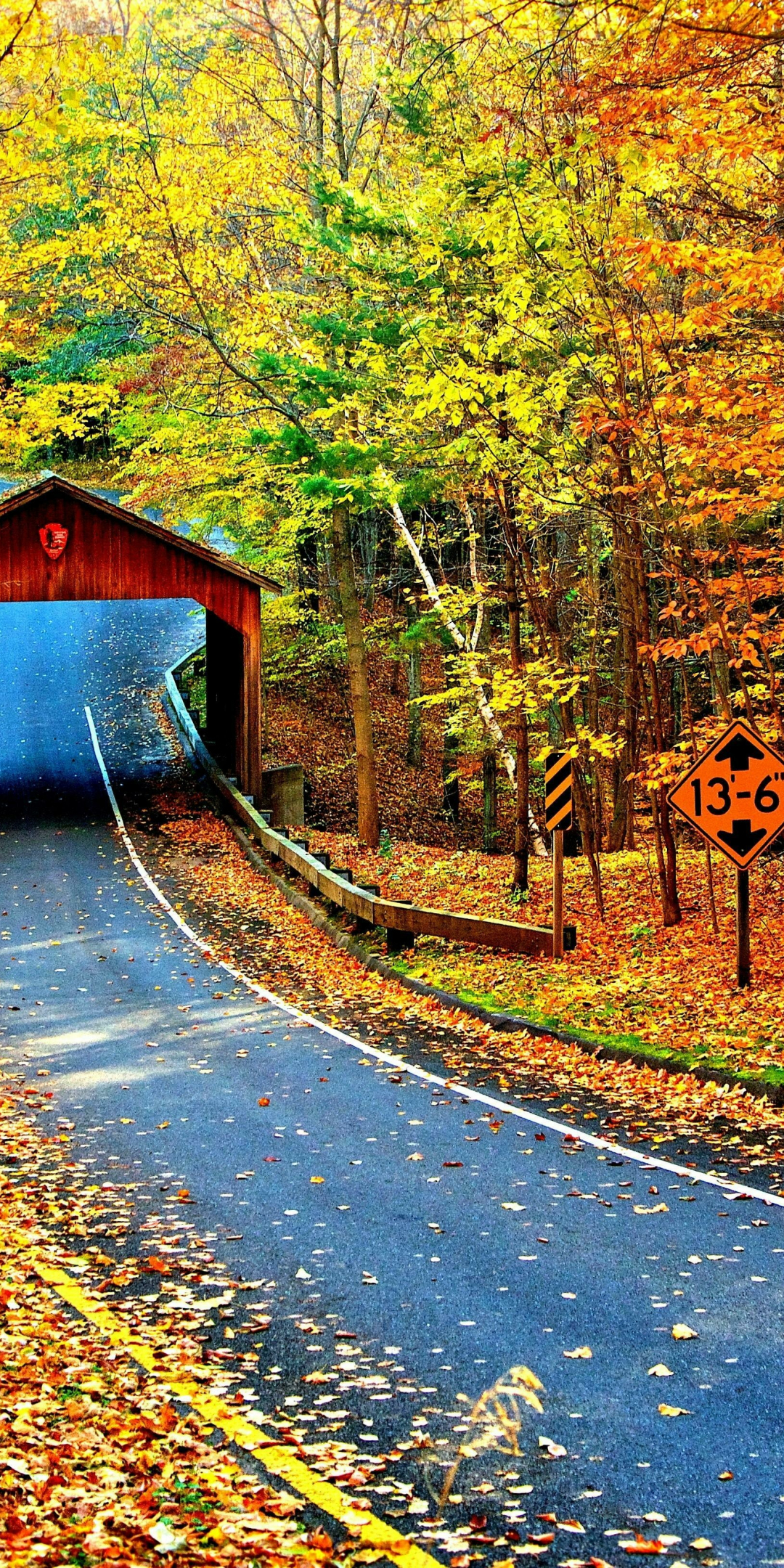 Highway, Cambron Covered Bridge, autumn, nature, 1080x2160 wallpaper