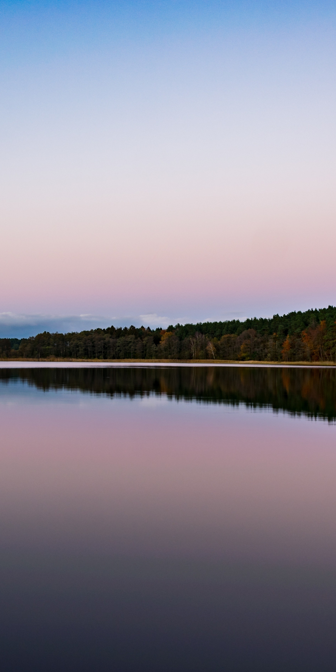 Lake, reflections, autumn, dawn, nature, 1080x2160 wallpaper