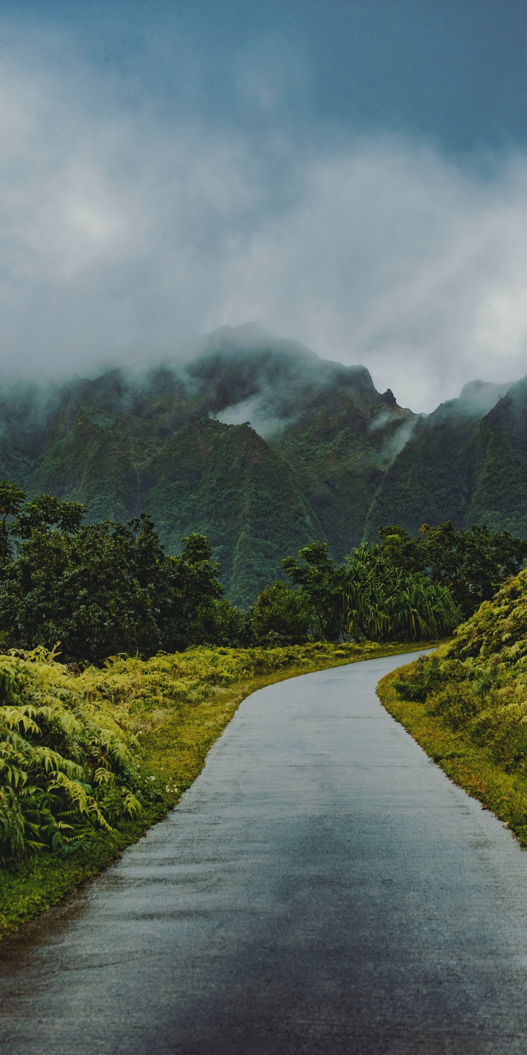 Road through green hills, mist, nature, 1080x2160 wallpaper