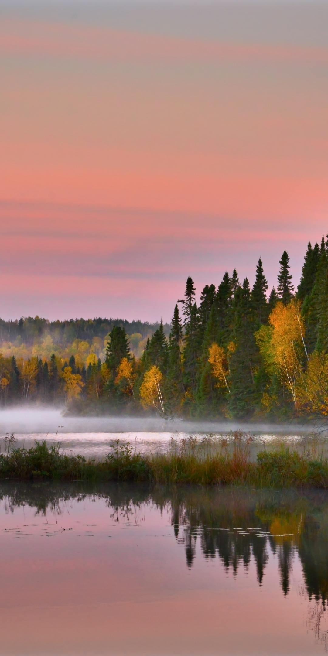 Autumn, reflections, landscape, lake, trees, nature, 1080x2160 wallpaper