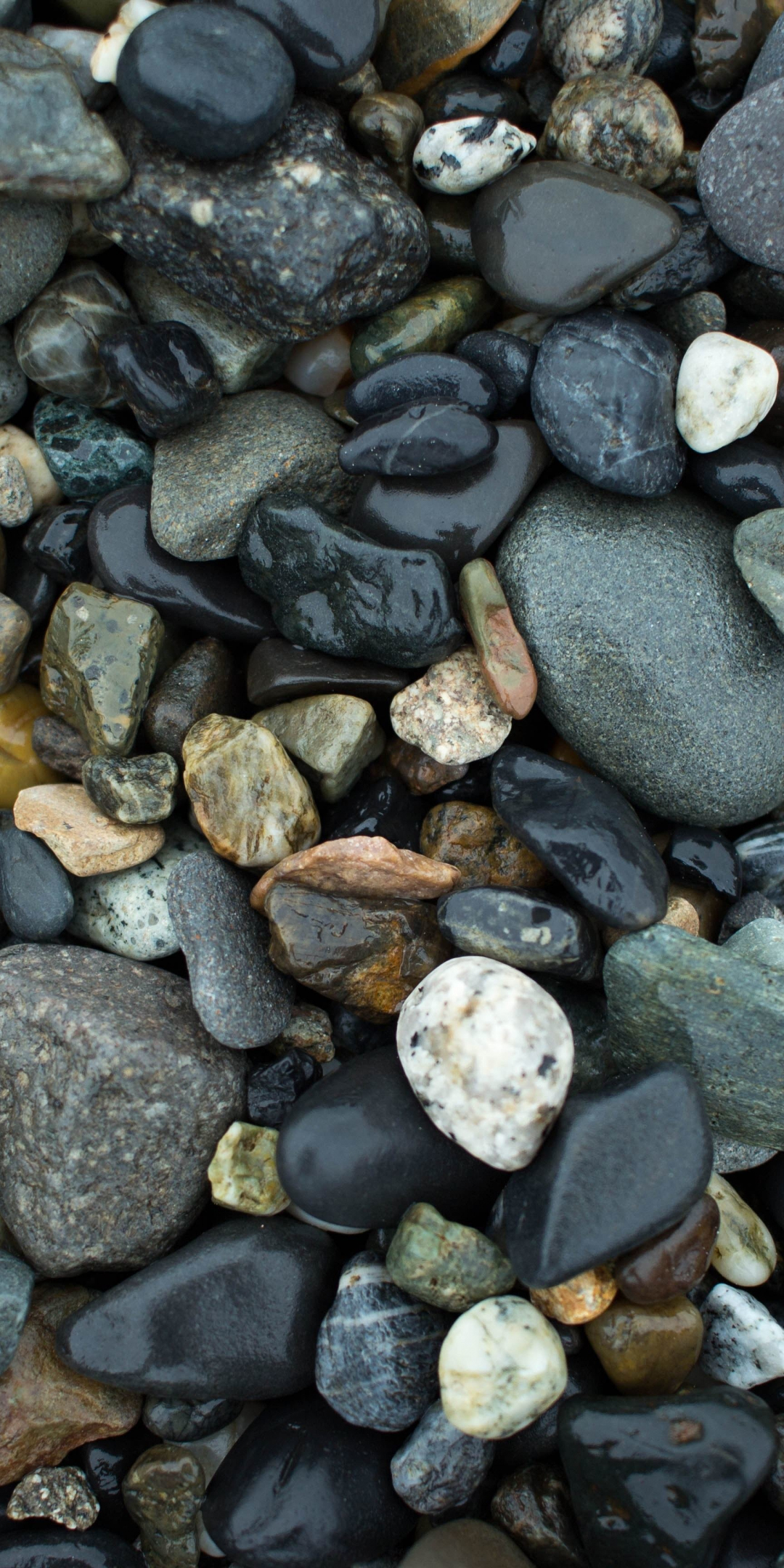 Wet stones, rocks, 1080x2160 wallpaper