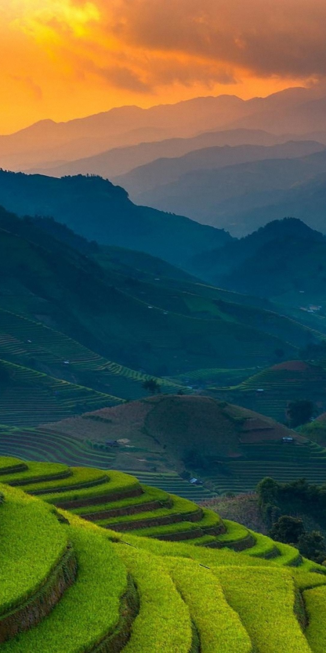 Rice farms, landscape, horizon, mountains, Philippines, 1080x2160 wallpaper