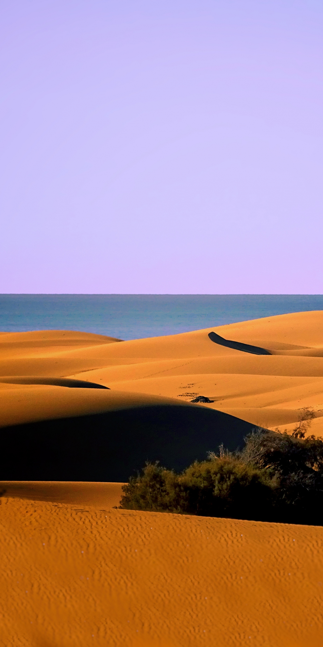 Dunes, desert, coast, sea, nature, 1080x2160 wallpaper