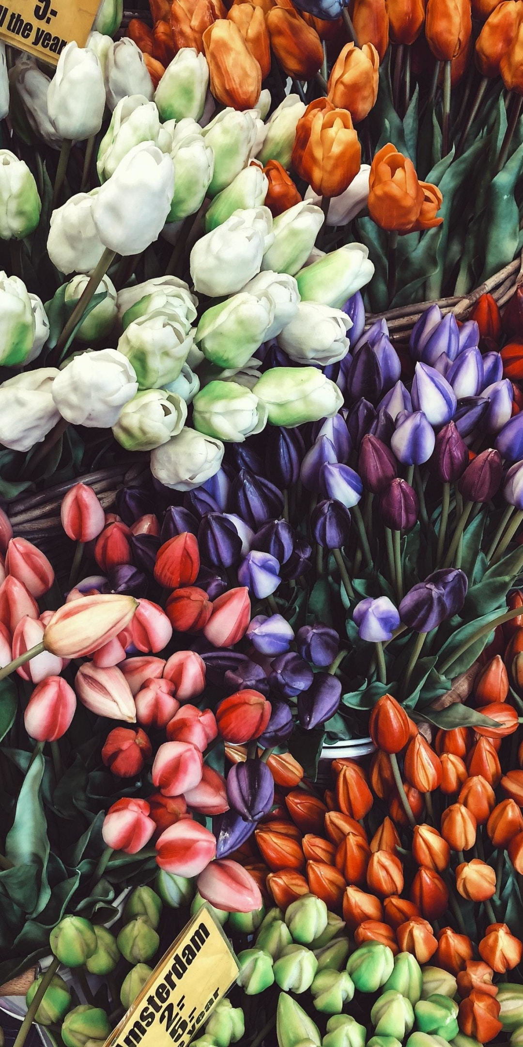 Tulips colorful, tulips, flower market, 1080x2160 wallpaper