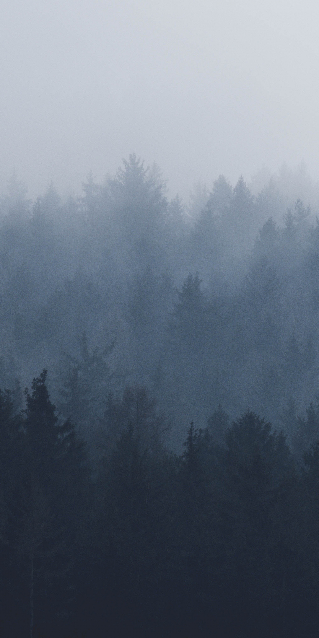 Misty day, fog, nature, trees, 1080x2160 wallpaper
