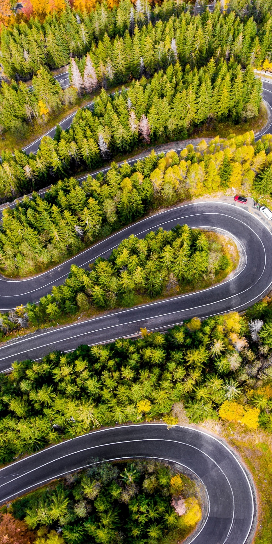 Winding road, highway, aerial view, forest, 1080x2160 wallpaper