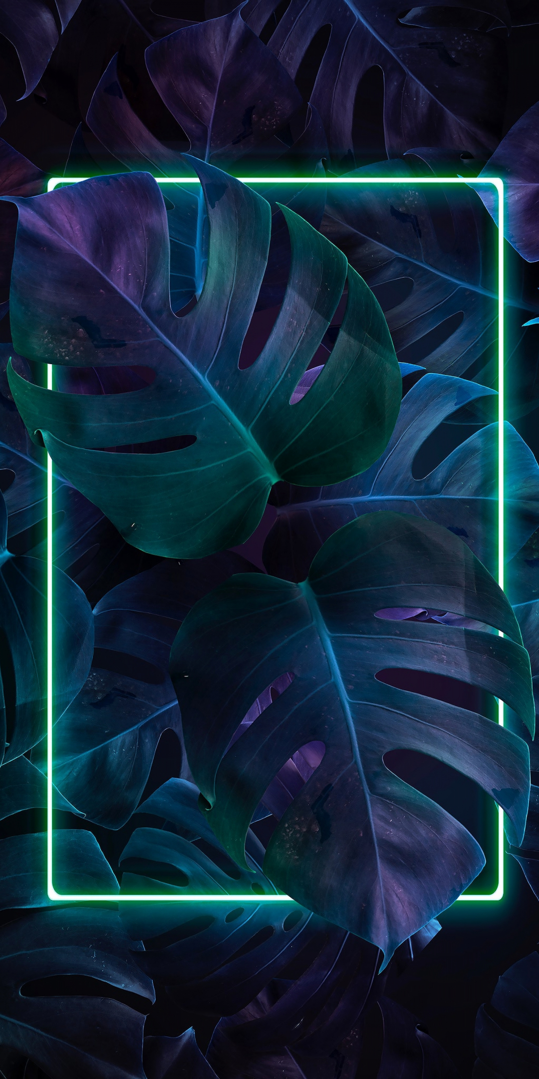Plants, vepoware, art, 1080x2160 wallpaper
