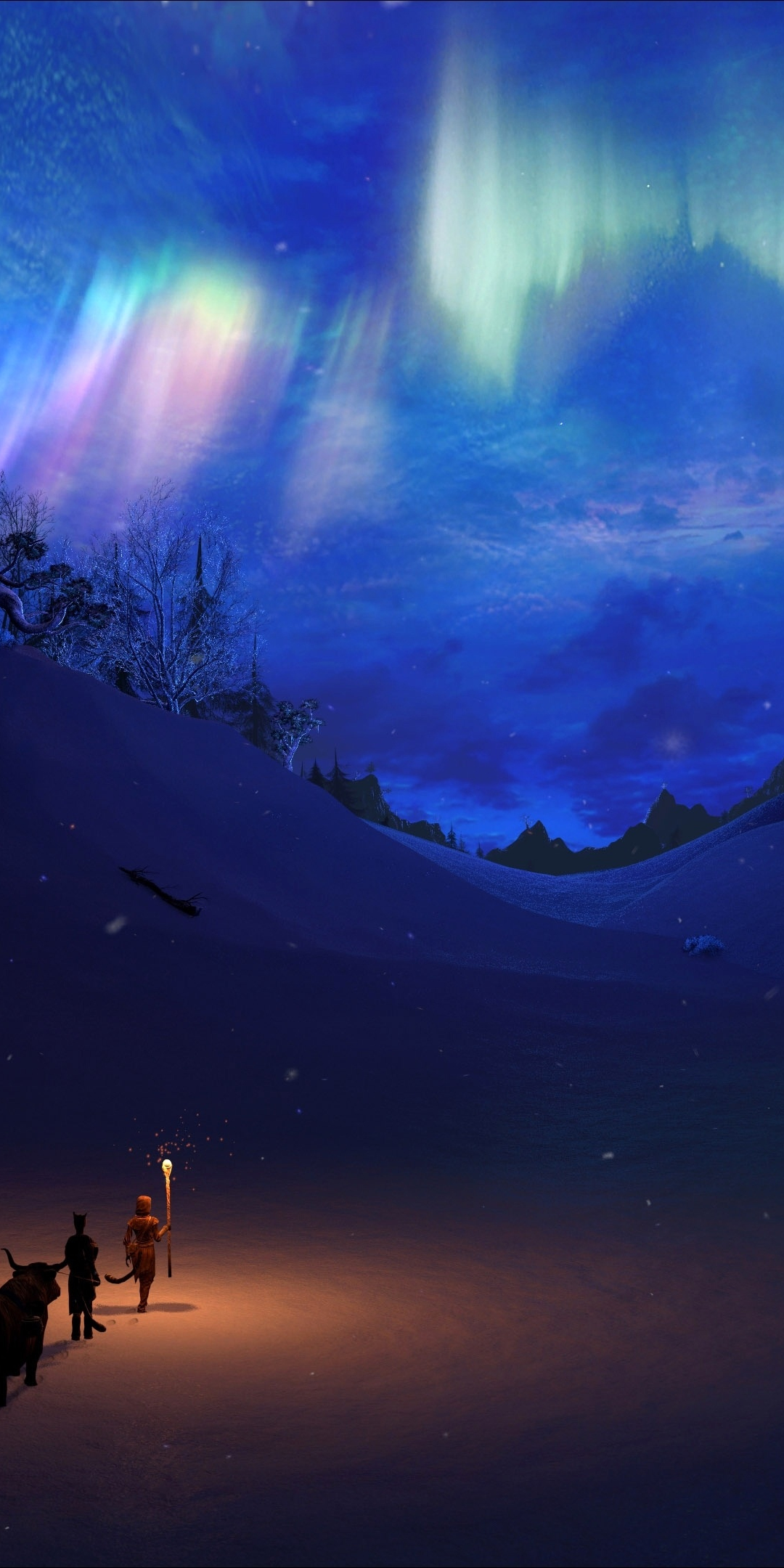 Northern Lights, landscape, The Elder Scrolls V: Skyrim, 1080x2160 wallpaper
