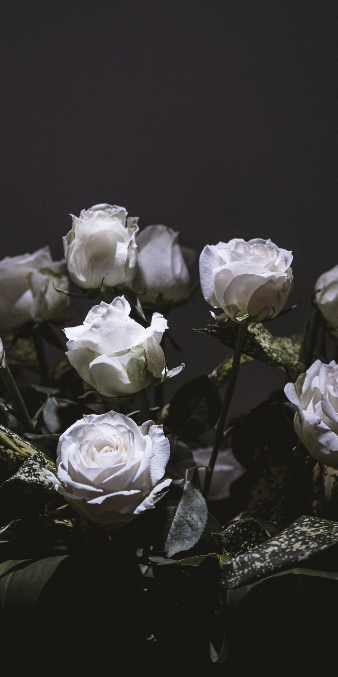 White roses, bouquet, portrait, 1080x2160 wallpaper