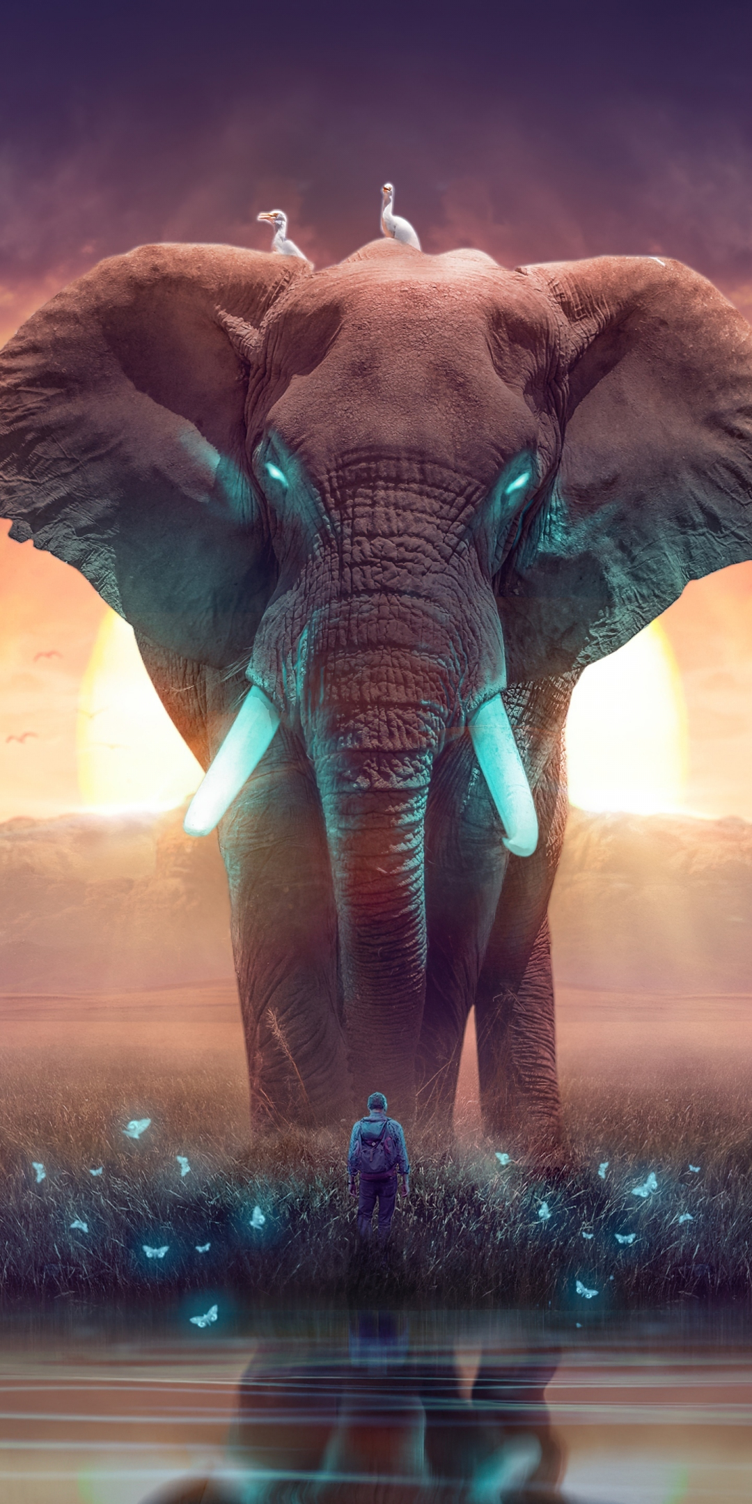 The Elephant of dreamland, wild animals, fantasy, 1080x2160 wallpaper