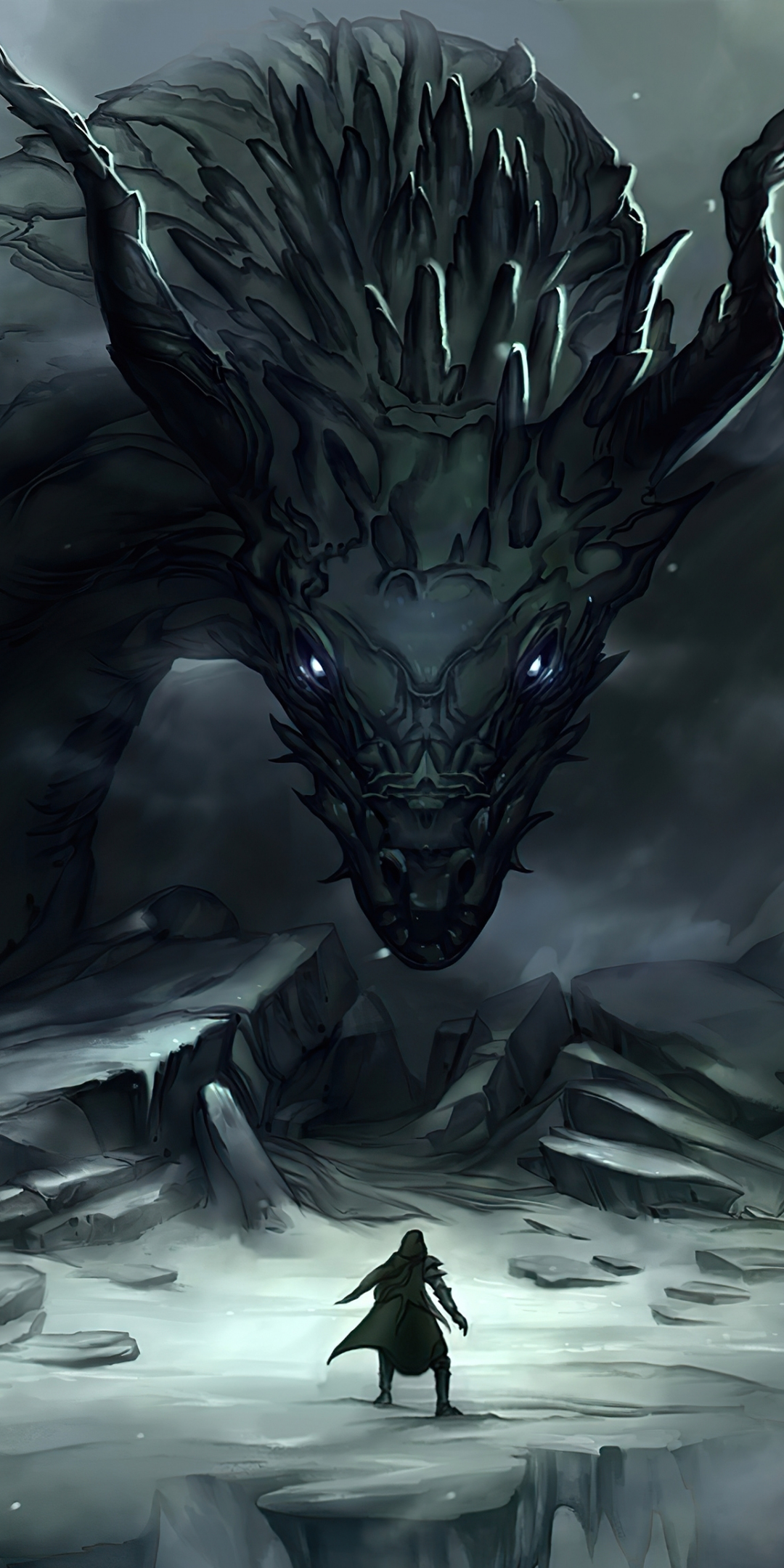 Dragon master and dragon, art, fantasy, 1080x2160 wallpaper