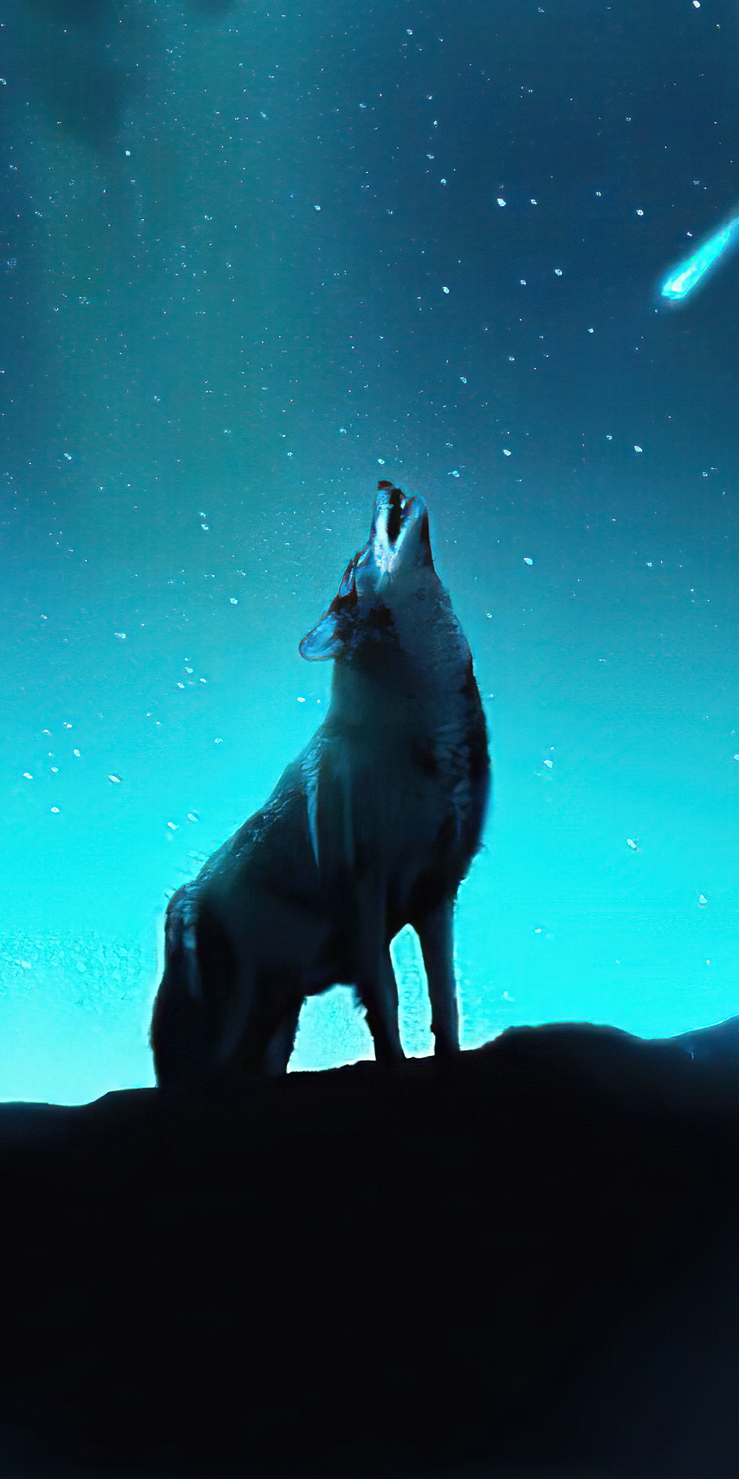 Fox howling, night, northern lights, stars, 1080x2160 wallpaper